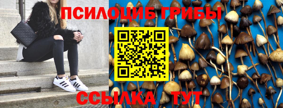 Галлюциногенные грибы MAGIC MUSHROOMS Находка