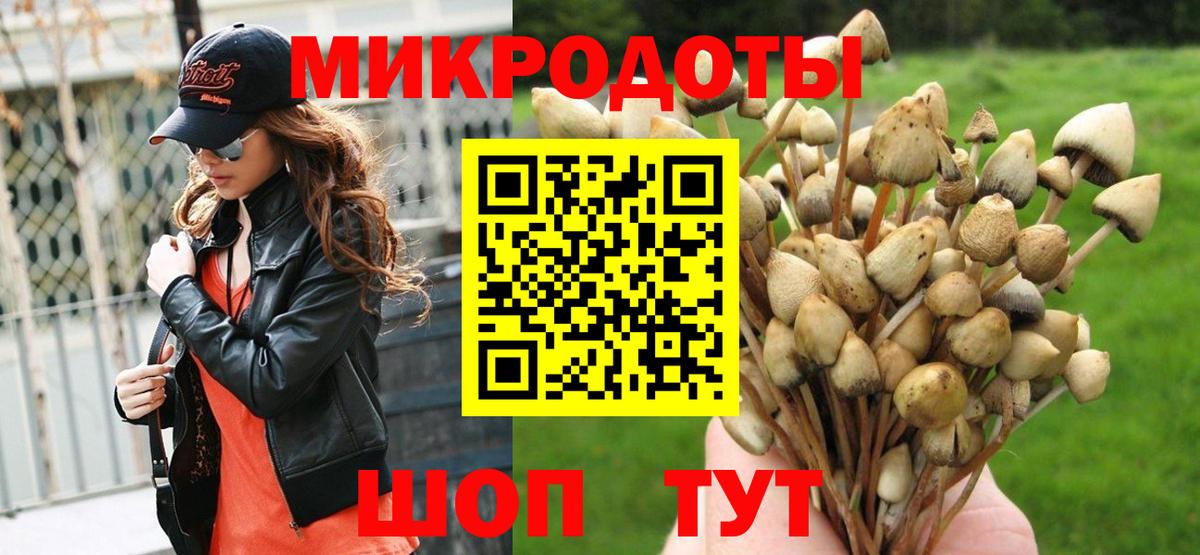 Находка  Псилоцибиновые грибы GOLDEN TEACHER  Вход с VPN 